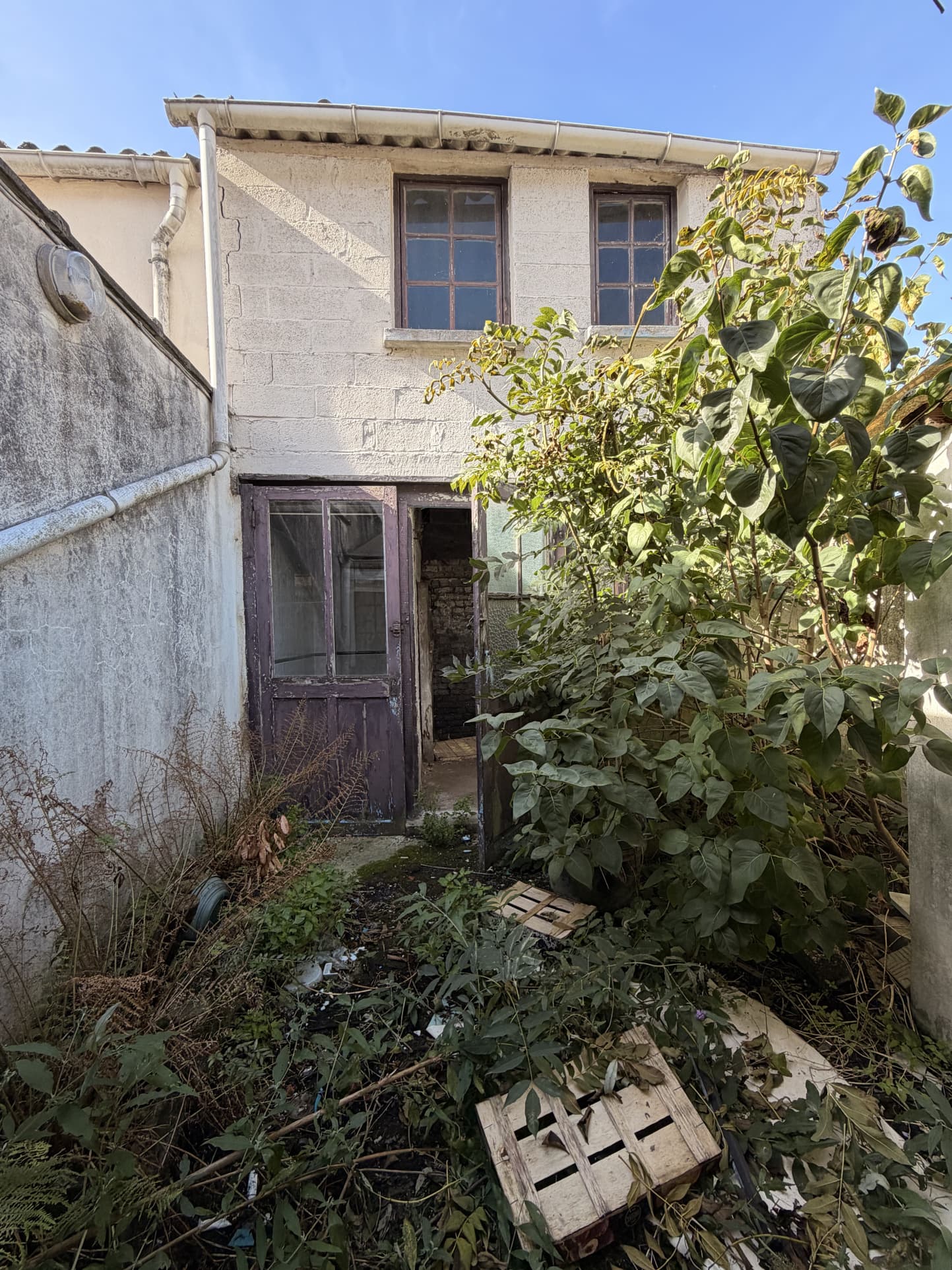 Image 9